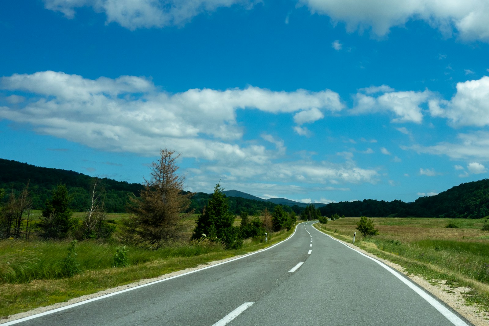 gray concrete road between green grass field under blue sky and white clouds during daytime